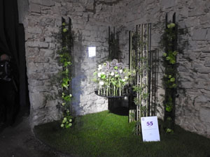 Temps de Flors 2024. Catedral - Soterranis