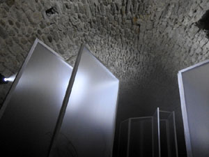 Temps de Flors 2024. Catedral - Soterranis