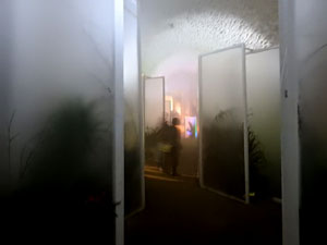 Temps de Flors 2024. Catedral - Soterranis