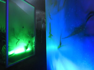 Temps de Flors 2024. Catedral - Soterranis