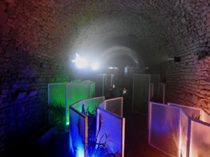 Temps de Flors 2024. Catedral - Soterranis