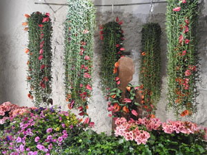 Temps de Flors 2024. Catedral - Soterranis