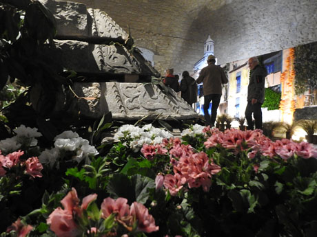 Temps de Flors 2024. Catedral - Soterranis