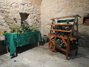 Temps de Flors 2024. Casa C&uacute;ndaro