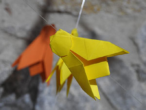 Temps de Flors 2024. Casa C&uacute;ndaro