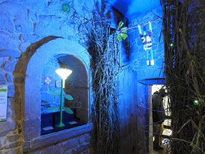 Temps de Flors 2024. Casa C&uacute;ndaro