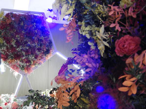 Temps de Flors 2024. Casa Mart&iacute;nez-Davalillos