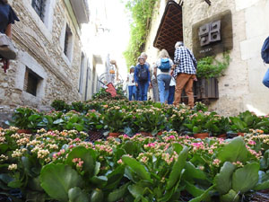 Temps de Flors 2024. Escales de la Mare de D&eacute;u de la Pera