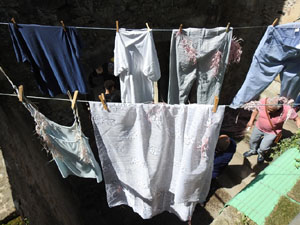 Temps de Flors 2024. Jard&iacute; de la Francesa