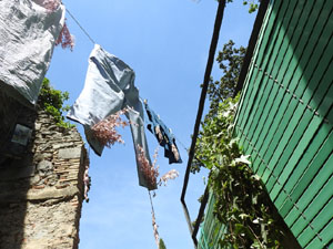 Temps de Flors 2024. Jard&iacute; de la Francesa