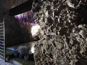 Temps de Flors 2024. Torre Gironella