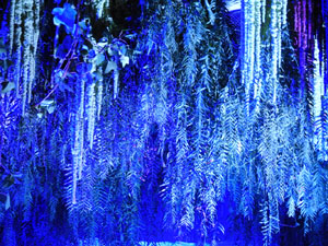 Temps de Flors 2024. Torre Gironella