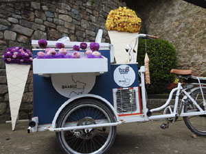 Temps de Flors 2024. Pla&ccedil;a dels Jurats