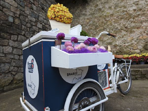 Temps de Flors 2024. Pla&ccedil;a dels Jurats