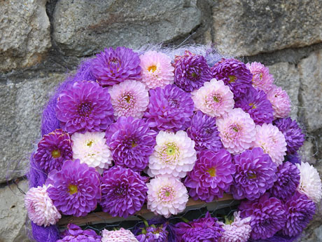 Temps de Flors 2024. Pla&ccedil;a dels Jurats