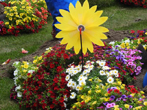Temps de Flors 2024. Pla&ccedil;a dels Jurats