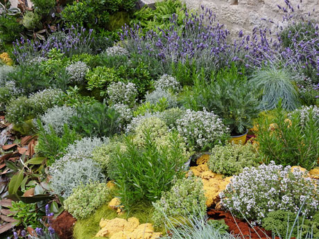 Temps de Flors 2024. Catedral - Placeta Maria Laffitte