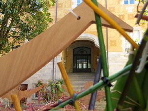 Temps de Flors 2024. Pati de les Magn&ograve;lies