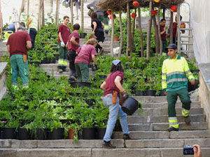 Temps de Flors 2024. Making of de l'esdeveniment