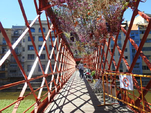 Temps de Flors 2024. Making of de l'esdeveniment