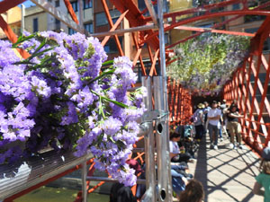 Temps de Flors 2024. Making of de l'esdeveniment