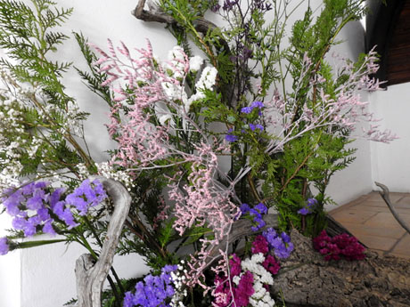 Temps de Flors 2024. Museu d'Hist&ograve;ria