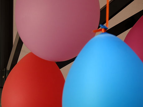 Temps de Flors 2024. Pla&ccedil;a Jordi de Sant Jordi