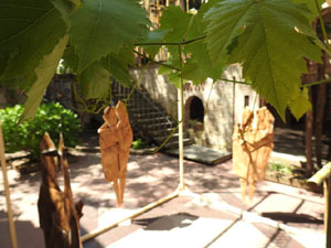 Temps de Flors 2024. Museu d'Hist&ograve;ria dels Jueus - Pati