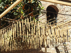 Temps de Flors 2024. Museu d'Hist&ograve;ria dels Jueus - Pati