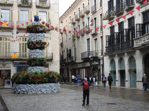 Temps de Flors 2024. Pla&ccedil;a del Vi