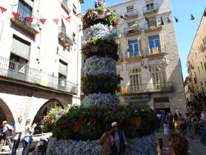 Temps de Flors 2024. Pla&ccedil;a del Vi