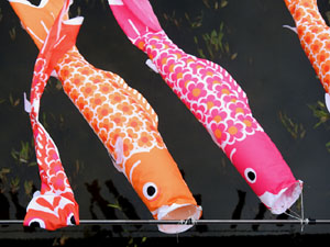 Temps de Flors 2024. Pont d'en G&oacute;mez