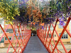 Temps de Flors 2024. Pont de les Peixateries Velles