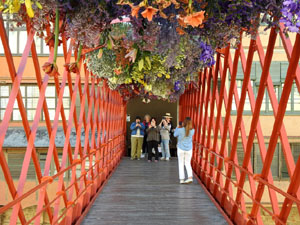 Temps de Flors 2024. Pont de les Peixateries Velles