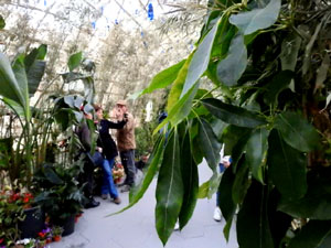 Temps de Flors 2024. Pont de Sant Agust&iacute;