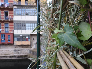 Temps de Flors 2024. Pont de Sant Agust&iacute;