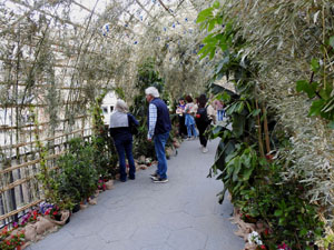 Temps de Flors 2024. Pont de Sant Agust&iacute;