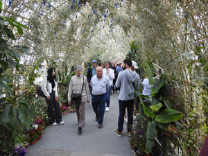Temps de Flors 2024. Pont de Sant Agust&iacute;