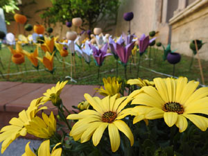 Temps de Flors 2024. Casa Solterra