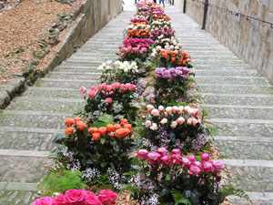 Temps de Flors 2024. Bas&iacute;lica de Sant Feliu