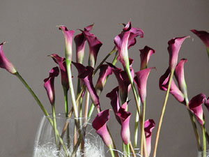 Temps de Flors 2024. Esgl&eacute;sia de Sant Mart&iacute; - Seminari