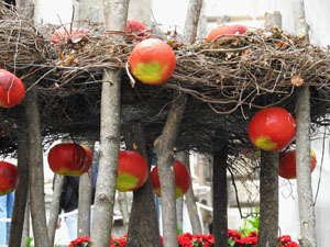 Temps de Flors 2024. Escales de Sant Mart&iacute;