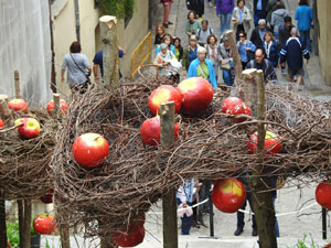 Temps de Flors 2024. Escales de Sant Mart&iacute;
