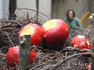 Temps de Flors 2024. Escales de Sant Mart&iacute;