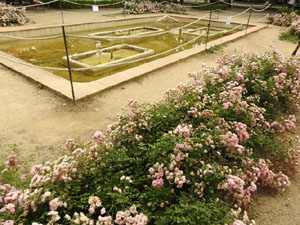 Temps de Flors 2024. Pla&ccedil;a de l'Assumpci&oacute;
