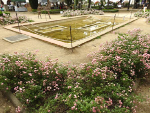 Temps de Flors 2024. Pla&ccedil;a de l'Assumpci&oacute;