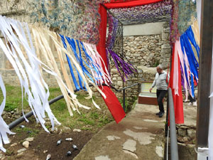 Temps de Flors 2024. Absis de Sant Pere de Galligants