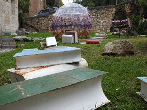 Temps de Flors 2024. Absis de Sant Pere de Galligants