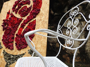 Temps de Flors 2024. Absis de Sant Pere de Galligants