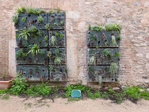 Temps de Flors 2024. Can Ninetes - Centre C&iacute;vic Santa Eug&egrave;nia